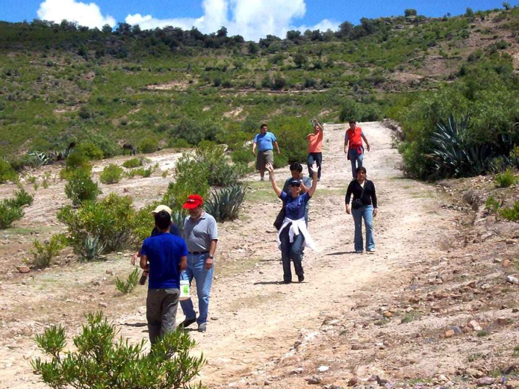 Ayacucho 291_15_11zon