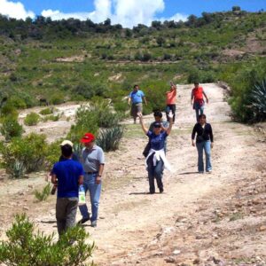 Trekking Tour Santa Cruz Llanganuco