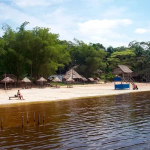 La Gran Travesía: Del Oráculo a la Selva